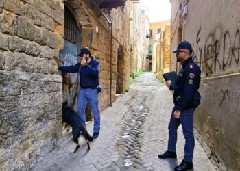 Caltanissetta: sequestrati cocaina, crack, hashish e marijuana