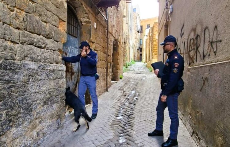 Caltanissetta: sequestrati cocaina, crack, hashish e marijuana