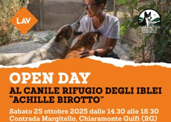 Lav Ragusa porte aperte al canile di Chiaramonte Gulfi per promuovere adozioni