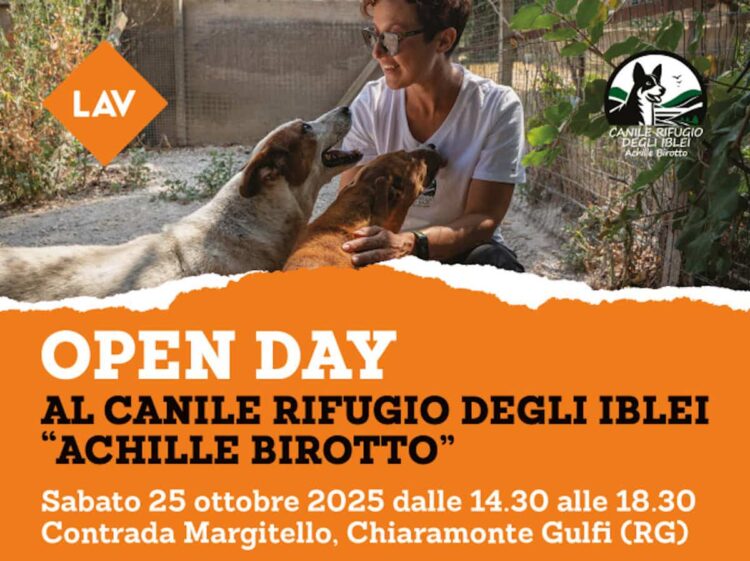Lav Ragusa porte aperte al canile di Chiaramonte Gulfi per promuovere adozioni
