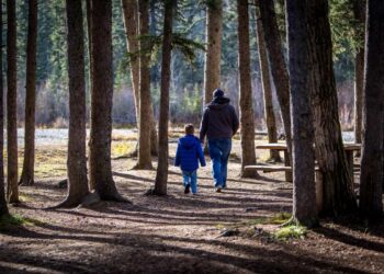 Assegno unico novembre 2025: quando arriva e le diverse date di pagamento