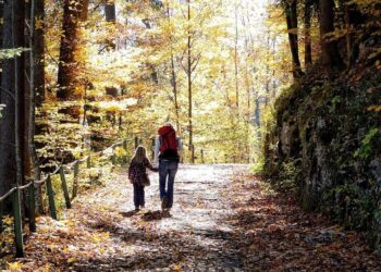 Assegno unico ottobre: date di pagamento e importi aggiornati