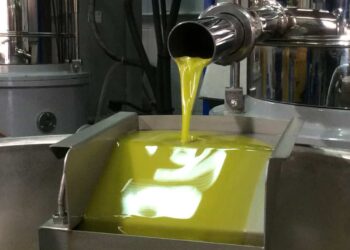 Frantoi Aperti, l'Olio DOP Monti Iblei incontra i consumatori e festeggia 25 anni di qualità