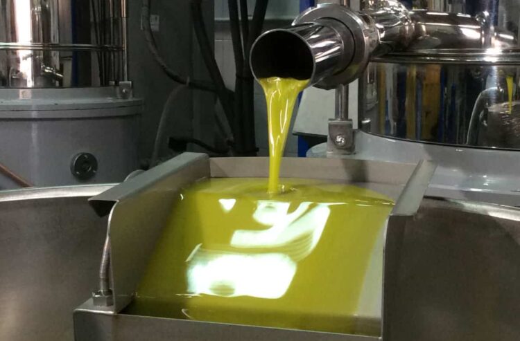 Frantoi Aperti, l'Olio DOP Monti Iblei incontra i consumatori e festeggia 25 anni di qualità
