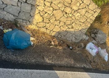 Schembari scrive ad ANAS: Urgenti interventi sulla SS 115 tra Comiso e Ragusa
