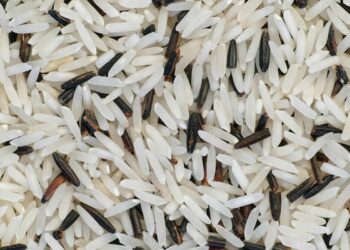 La Dieta del Riso: funziona davvero?