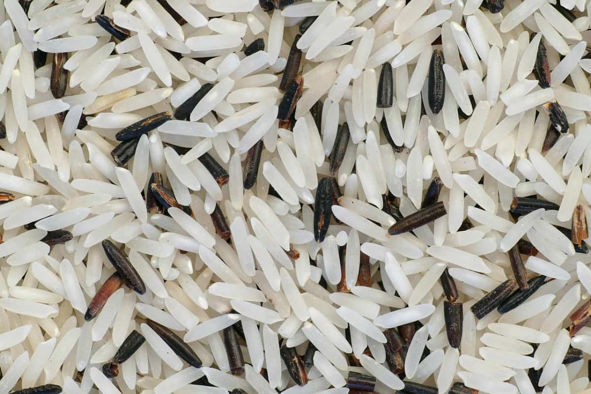 La Dieta del Riso: funziona davvero?
