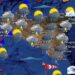 Maltempo Sicilia, oggi piogge e temporali: allerta meteo gialla