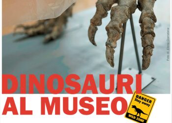 Dinosauri a Comiso: mostra unica in Italia al Museo Civico di Storia Naturale