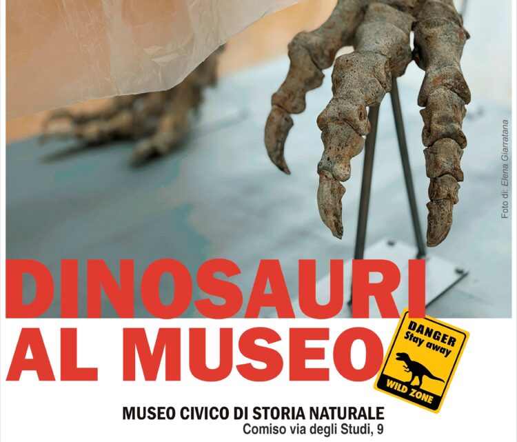 Dinosauri a Comiso: mostra unica in Italia al Museo Civico di Storia Naturale