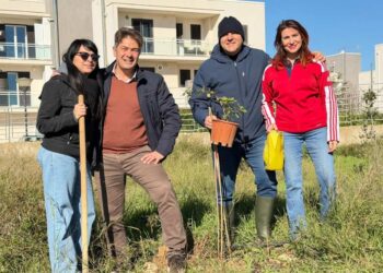 Alberi per il futuro a Modica e Ragusa
