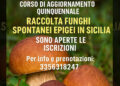 Corso quinquennale di aggiornamento per la raccolta di funghi epigei spontanei in Sicilia