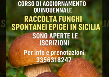 Corso quinquennale di aggiornamento per la raccolta di funghi epigei spontanei in Sicilia