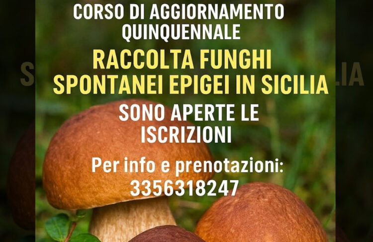 Corso quinquennale di aggiornamento per la raccolta di funghi epigei spontanei in Sicilia