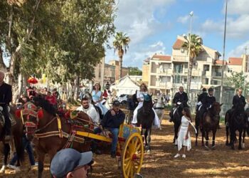 Vittoria, Fiera del Cavallo Ipparino: nessuna irregolarità sullo stato di salute degli equini