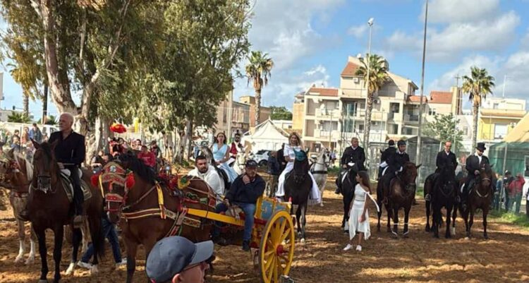 Vittoria, Fiera del Cavallo Ipparino: nessuna irregolarità sullo stato di salute degli equini