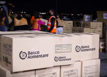 Giornata Colletta Alimentare, donate 8.300 tonnellate di alimenti in un giorno: 516 in Sicilia