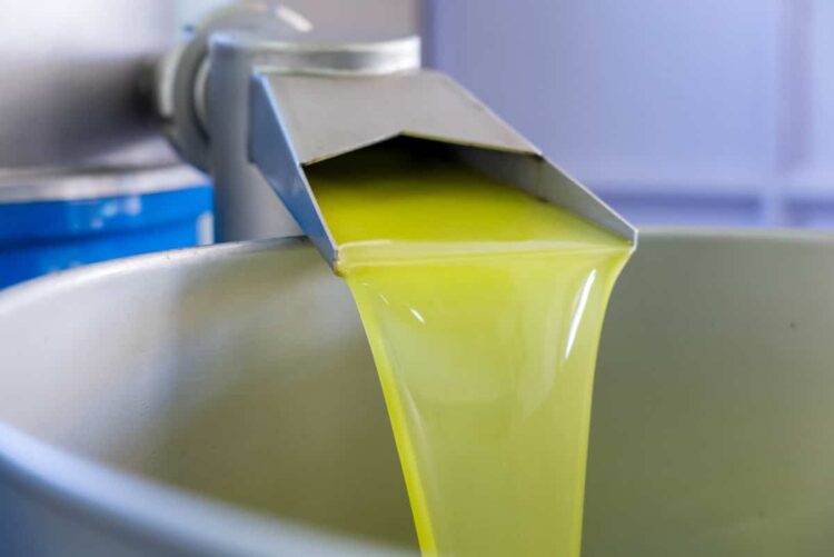 Ragusa: l'Olio DOP Monti Iblei festeggia i 25 anni di Eccellenza a Chiaramonte Gulfi