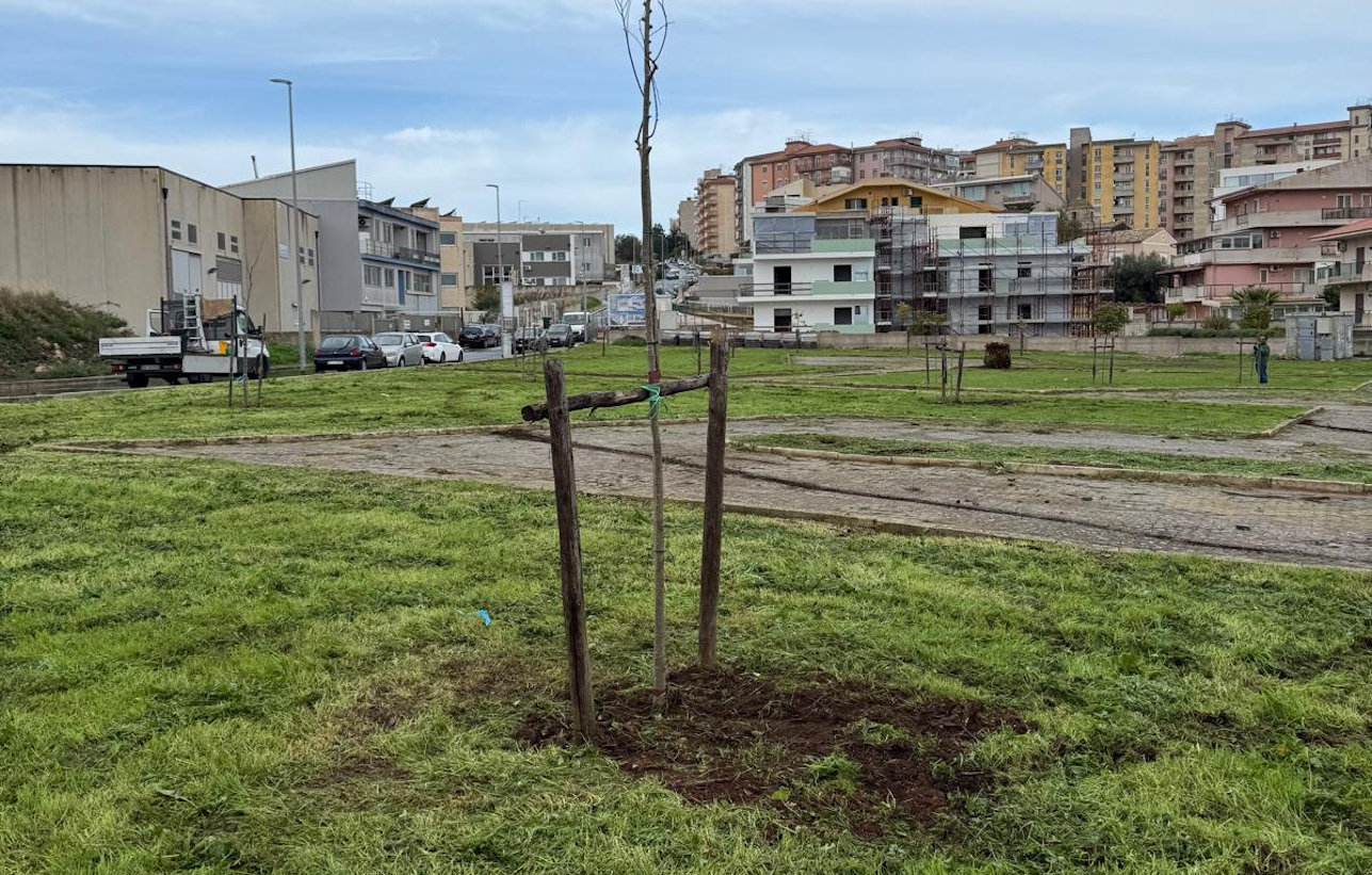 Ragusa più verde: 34 nuovi alberi