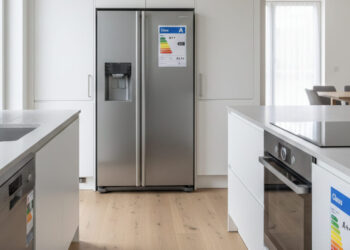 bonus elettrodomestici 2025, frigo, forno, lavastovliglie