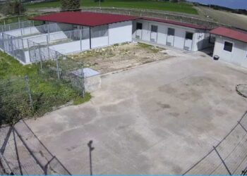 Ispica: il canile è realtà