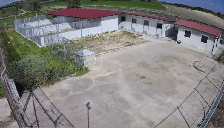 Ispica: il canile è realtà