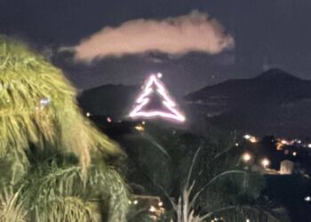 L'Albero di Natale più grande della Sicilia è stato realizzato a Montelepre