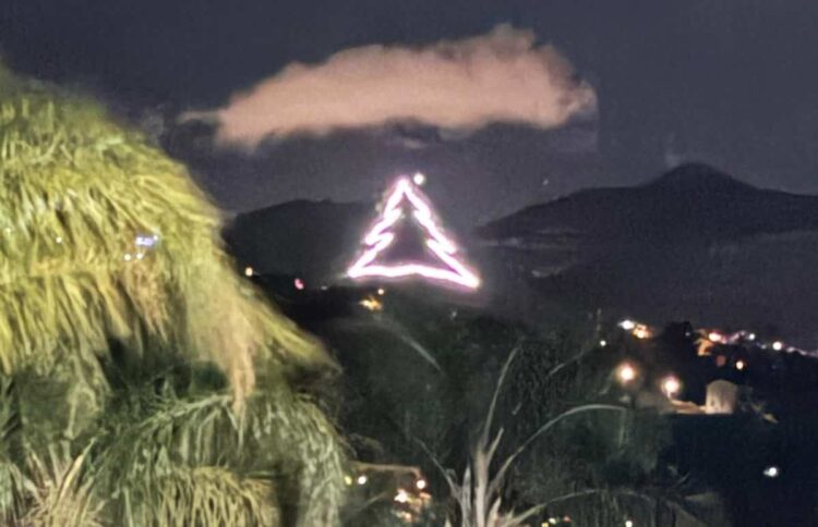 L'Albero di Natale più grande della Sicilia è stato realizzato a Montelepre