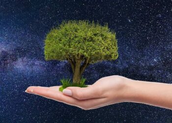 Ragusa, continua la manutenzione del patrimonio arboreo