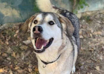 Ragusa, sopralluogo rifugio sanitario