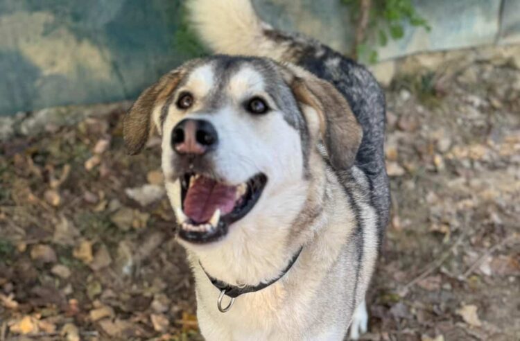 Ragusa, sopralluogo rifugio sanitario