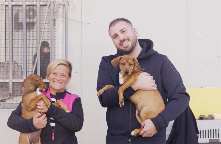 Modica, Non comprarlo, adottalo: l’appello del Comune per i cani del rifugio sanitario
