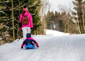 Assegno Unico Dicembre 2025: pagamenti anticipati in vista del Natale