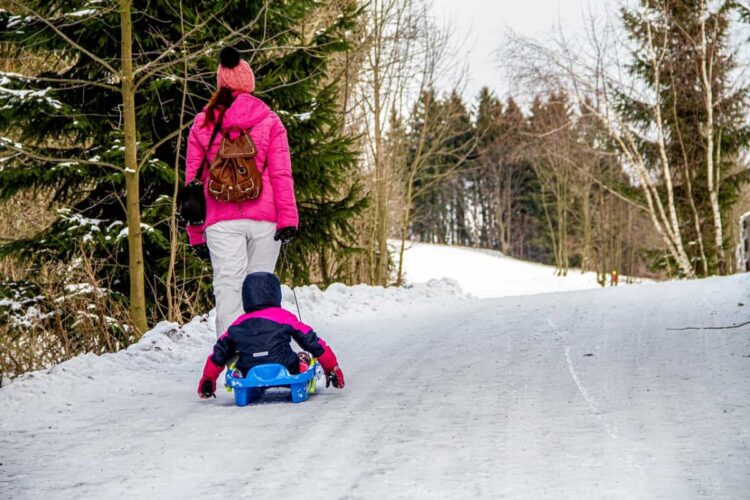 Assegno Unico Dicembre 2025: pagamenti anticipati in vista del Natale