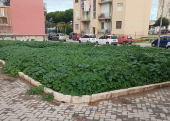 Verde urbano Vittoria: la Regione Siciliana aumenta i fondi