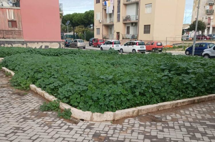 Verde urbano Vittoria: la Regione Siciliana aumenta i fondi