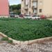 Verde urbano Vittoria: la Regione Siciliana aumenta i fondi