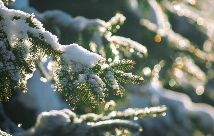 Maltempo Sicilia, drastico calo termico e neve a quote collinari: ecco le previsioni meteo