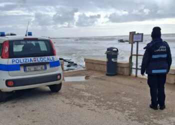 Donnalucata, cani morti per avvelenamento: cartelli di avvertimento al lungomare