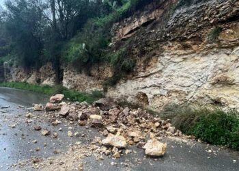 Maltempo Modica, alberi caduti in strada e pali divelti dal vento: domani scuole chiuse