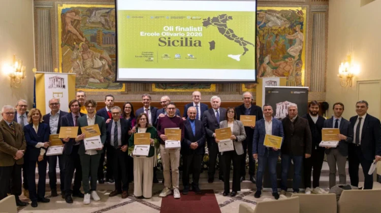 Premio Ercole Olivario Regione Sicilia 2026, Chiaramonte, Modica e Ragusa tra le 14 aziende in finale nazionale