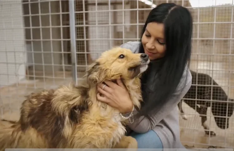 ARD Discount: campagna Oltre le sbarre: sostegno ai canili e sensibilizzazione all'adozione