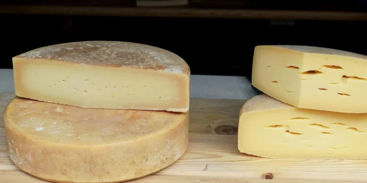 Ragusa: crisi del settore lattiero-caseario