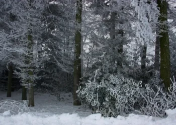 Vortice polare vacilla: a marzo rischio Split con maltempo e colpi di coda invernali