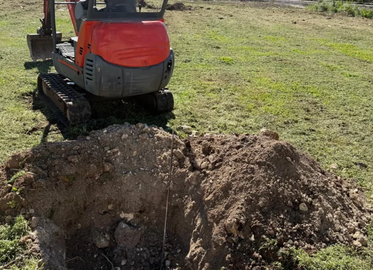 Ragusa, iniziata la piantumazione di nuovi alberi