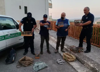 Ragusa, chiusura della stagione venatoria 2025/2026: il bilancio della Polizia Provinciale