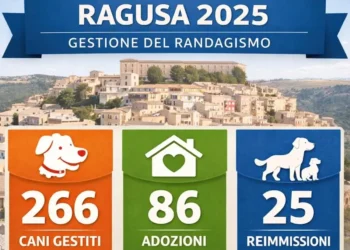 Ragusa randagismo canino, nel 2025 aumentano adozioni e reimmissioni