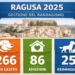 Ragusa randagismo canino, nel 2025 aumentano adozioni e reimmissioni