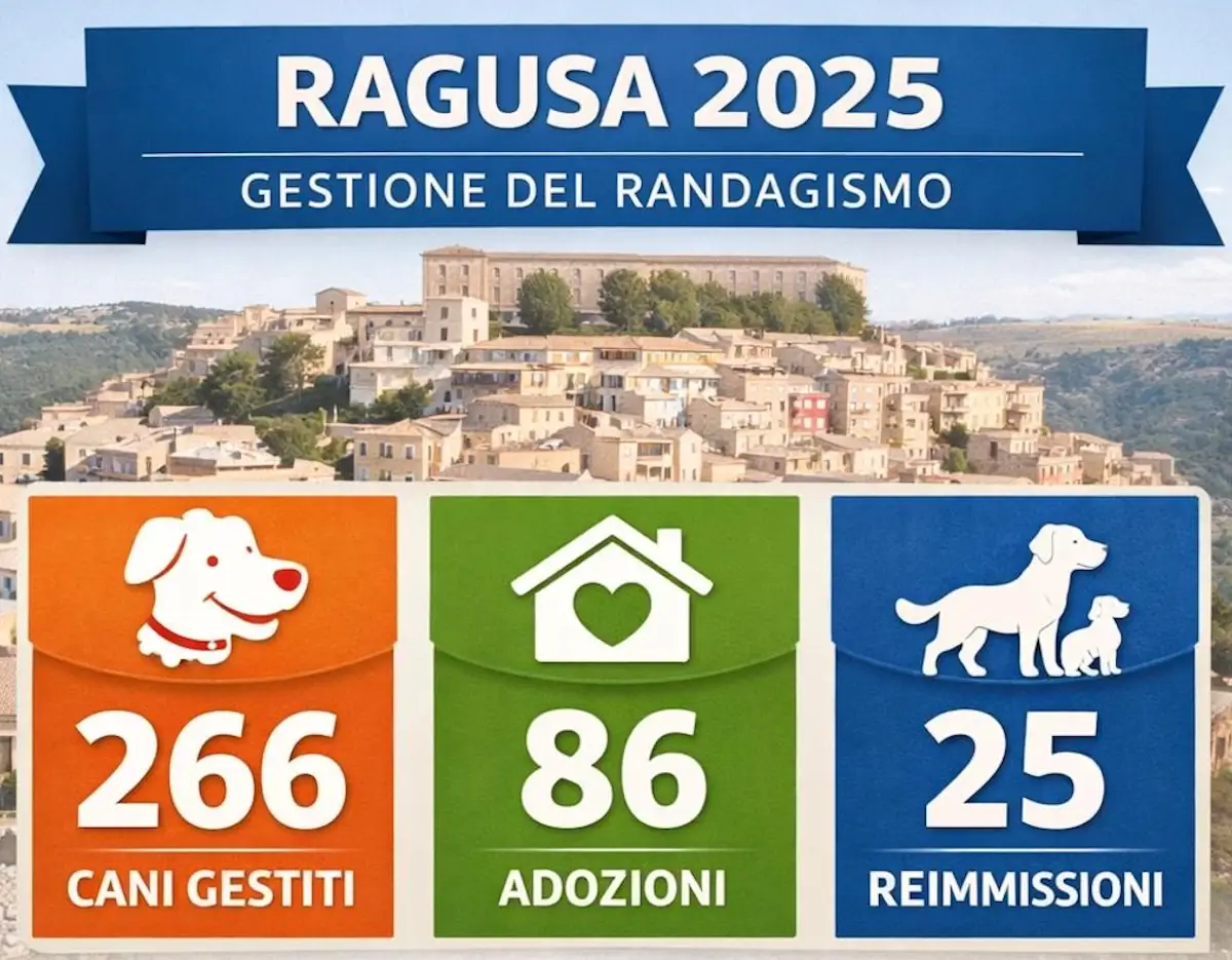 Ragusa randagismo canino, nel 2025 aumentano adozioni e reimmissioni
