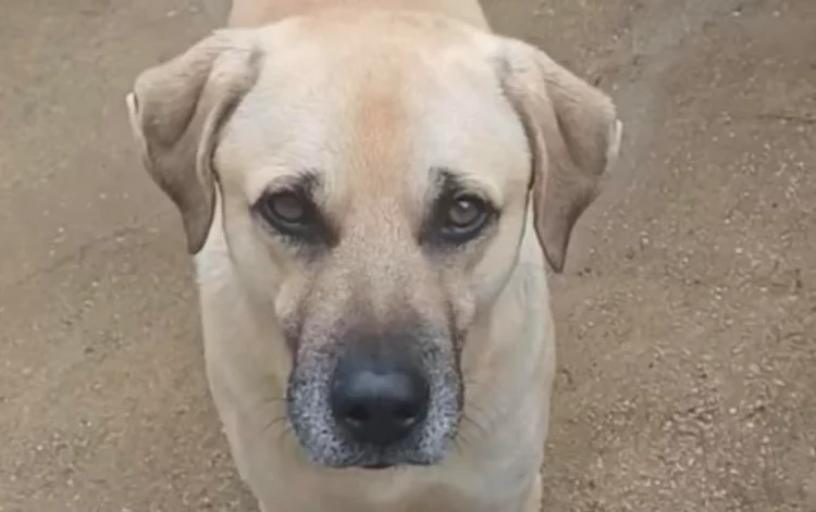 Ciccio torna a Marina di Ragusa